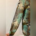 Olivaceous Snake Print Long Sleeve Dress Size Large Photo 1