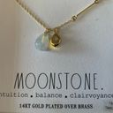 Rae Dunn NEW  Gold Moonstone Necklace Photo 1