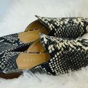 Jack Rogers  Delaney Snake Print Women's Slip-On Mules size 6.5 Photo 7