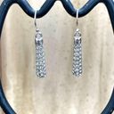 Swavorski Swarovski Crystal Studded Cylinder Drop Earrings Photo 1