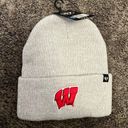 47 University Of Wisconsin Beanie Photo 0