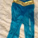 Jasmine Princess  Costume Photo 1