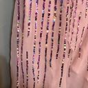 Cinderella Divine Pastel Pink w/ Rainbow Sequins Gown Photo 4