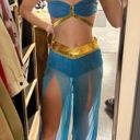 Jasmine Princess  Costume Photo 0