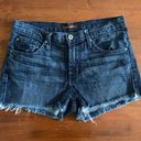 James Jeans Blue Denim Shorts, hunter, cut off, size 29, jeans shorts. Photo 0