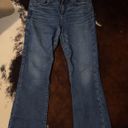 American Eagle Outfitters Bootcut Jeans Photo 0