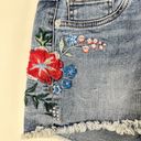 EXPRESS  Relaxed Low Rise Embroidered Floral Denim Shorts Size 8 Photo 3