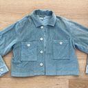 Amuse Society  - Cropped Corduroy Button Front Shacket in Blue Green Photo 0