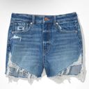 American Eagle Outfitters High Rise Mom Shorts Photo 9