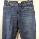 J.Jill  Smooth Fit Slim Ankle Blue Jeans Size 12 Photo 3