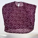 Lane Bryant  sheer maroon polka dot women blouse size 18 20 bat wing sleeves Photo 2