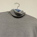 Everlane  Lightweight Gray Wool Turtleneck Sweater Photo 5