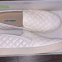 Steve Madden White Sneakers Photo 0