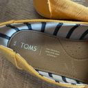 Toms || Alpargata Flats Photo 3