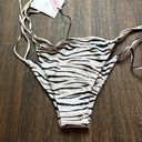 Aila Blue  Conch Le Tigre Bikini Bottoms Photo 2