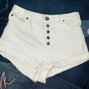 One Teaspoon High Waisted Shorts Photo 2