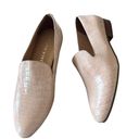 Jack Rogers NEW  Audrey Croc Loafers Leather Photo 2