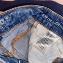 American Eagle Outfitters Shorts Photo 2