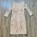 Sue Wong  Blush Pink Lace Bodycon Cocktail Dress Size 8 Photo 11