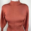 ZARA  Brown Balloon Sleeve Turtle Neck Ribbed Trim Knit Fitted Sweater Top Size L Photo 2