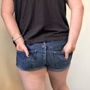 DL 1961 Renee Short‎ size 29 Photo 4