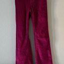 Current/Elliott Anthropologie x  Jarvis Corduroy Flare Pants in Wild Aster Photo 1