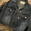 idem Ditto Denim Dress Photo 1