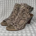 Baretraps  Snake Print Heels Size 7 Photo 0