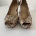 Stuart Weitzman  women’s python snakeskin peep toe heel shoes — size 7.5 Photo 1