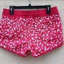 Firefly Truck Swim Shorts Fuchsia & White Size M Size M Photo 2