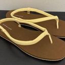 Everlane NWOT  The ReNew Strappy Thong Sandals WOMENS SIZE 10 Photo 0