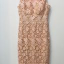 Bisou Bisou Blush Pink Lace dress size 8. Photo 2