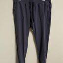 Zyia  Active Joggers Women's Size XL Gray High Rise Drawstrings Photo 0