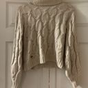 Hippie Rose Knit Turtle Neck Sweater Photo 2