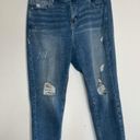 Lane Bryant  distressed high rise straight jeans Photo 1