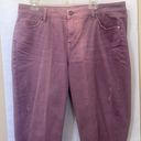 Lane Bryant 1094741 Lavender Girlfriend Cropped JEANS $70 NWT 16 Photo 3