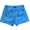 ZARA  Denim Jean Shorts High Rise Mom Shorts Rigid 5” Light Blue Wash size 14 Photo 1