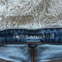 American Eagle Outfitters Mom Shorts Photo 1