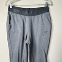 Nike  Dri-Fit Grey Tapered Sweatpants Women's Medium Photo 1