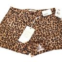 YMI Jeans Tan Leopard High Rise Shorts Photo 0