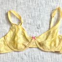 Betsey Johnson Bralette Photo 0