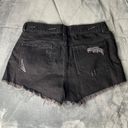 EXPRESS Shorts Photo 1