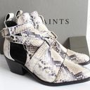 ALLSAINTS  Darcy Pointed Toe Ivory Python Snake-Print Leather Cutout Ankle Boots Photo 2