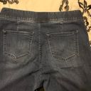 Lane Bryant High Waisted Jeans Size 16W Photo 1