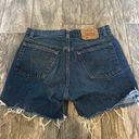 Levi Strauss & CO. Denim Shorts Photo 1