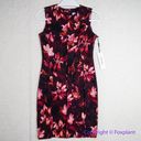 Calvin Klein NEW  Women's floral Printed Seamed Sleeveless Sheath Dress, size 4P Photo 2