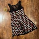 Betsey Johnson  Polka Dot Illusion Skater Dress Floral Size 6 Photo 5