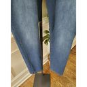 Terra & Sky  Womens Blue Denim Cotton Mid Rise Comfort Waist Skinny Jeans Pant 4X Photo 3