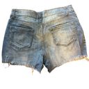 Time & Tru  Women's Distressed Jean Cutoff Shorts. Mid/High Waist, EUC, Size 8 Photo 1