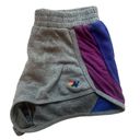 Aviator Nation Gray & Purple Sweat Shorts Photo 3